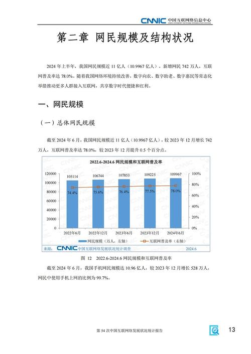 中国互联网络信息中心 cnnic