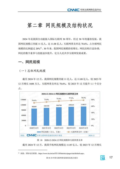 中国互联网发展状况统计报告pdf