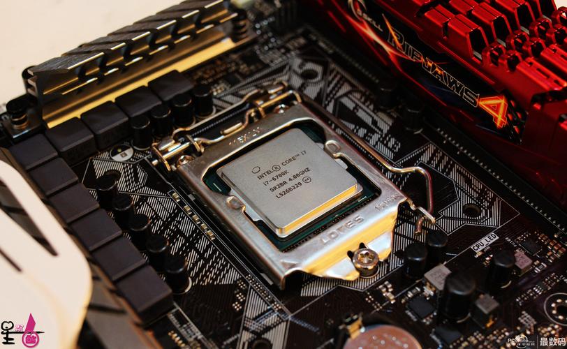 intel skylake 处理器