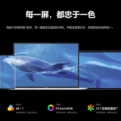 matebookdintel处理器