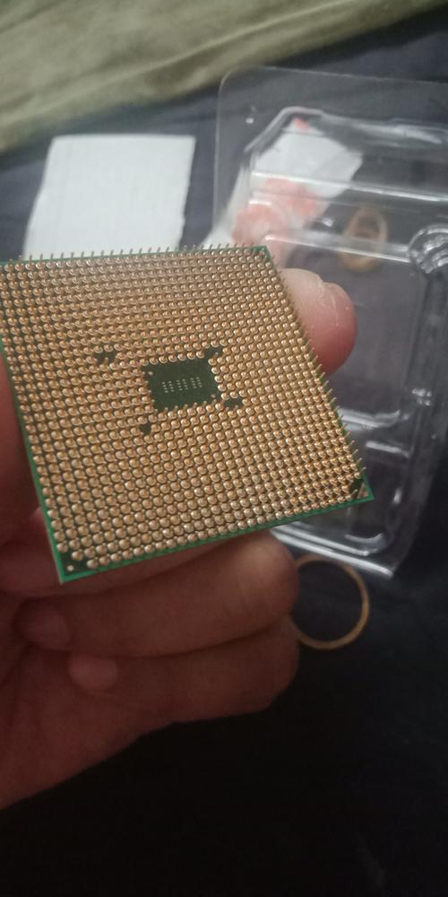 amd athlon ii 处理器