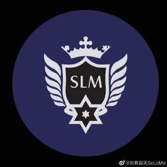 solomo产业互联网 骗局