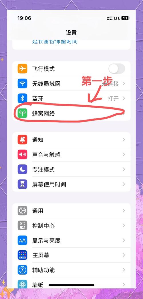 iPhone如何开启互联网