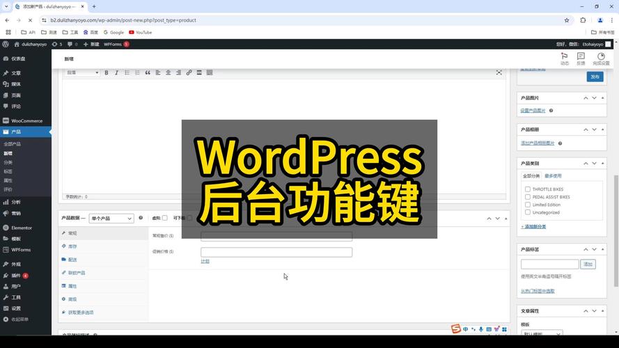 wordpress 发布网站