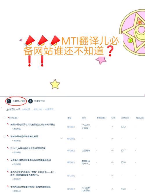 网站专业术语中 seo意思是