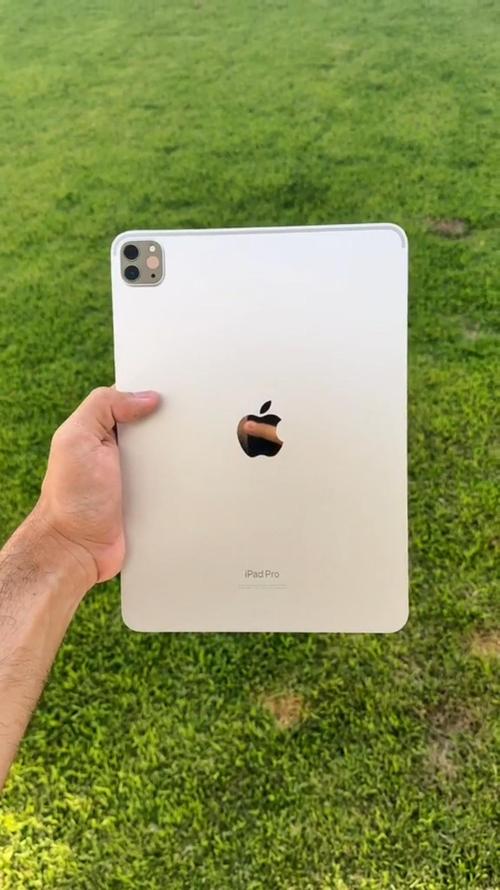 ipad pro A11 处理器