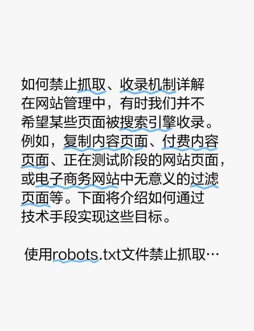 网站没有robots.txt