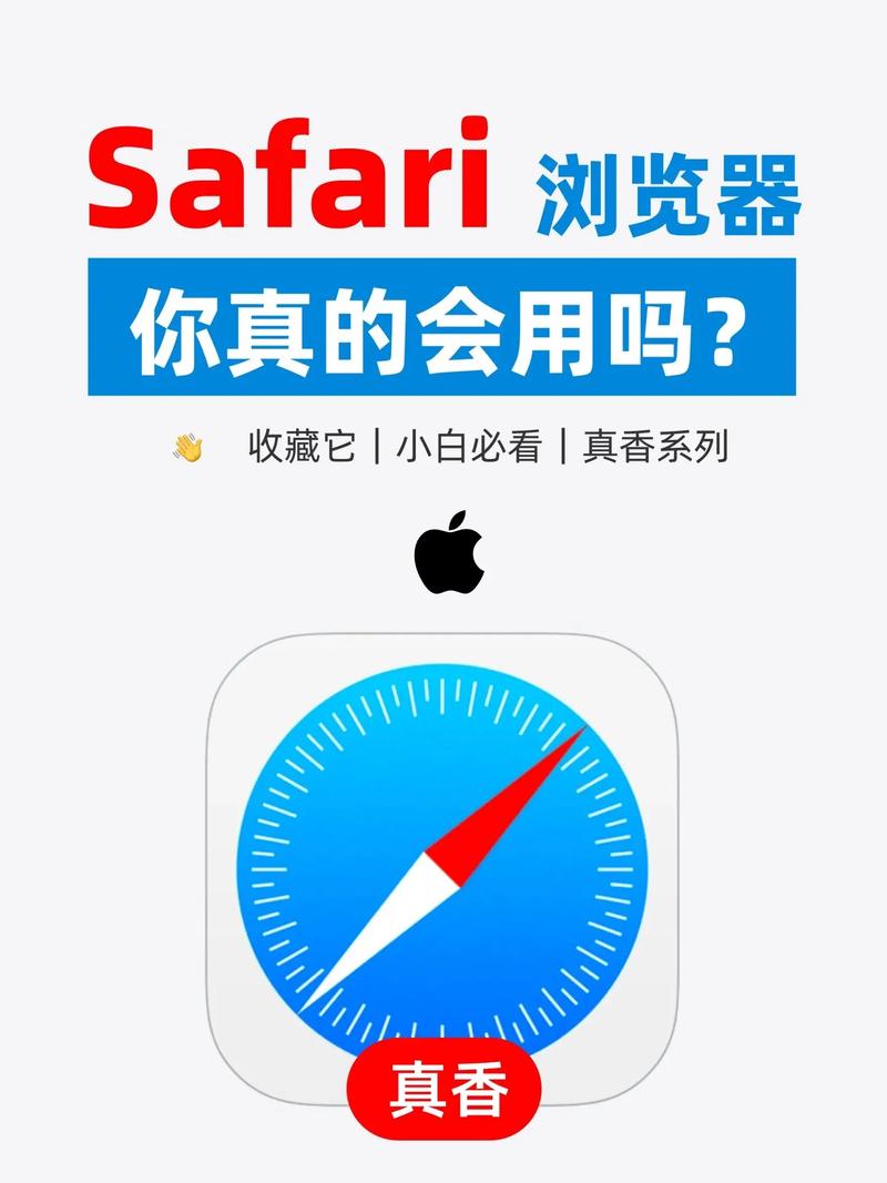 safari如何接入互联网