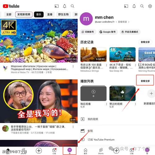 youtube国外性视频网站