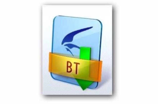 互联网时代 torrent