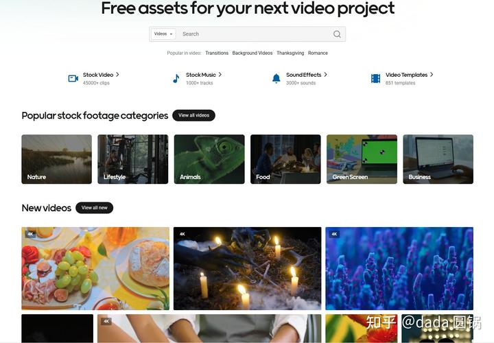 国内视频网站网站 4k视频