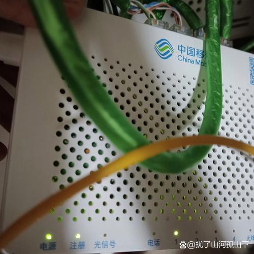 tplink 无互联网连接
