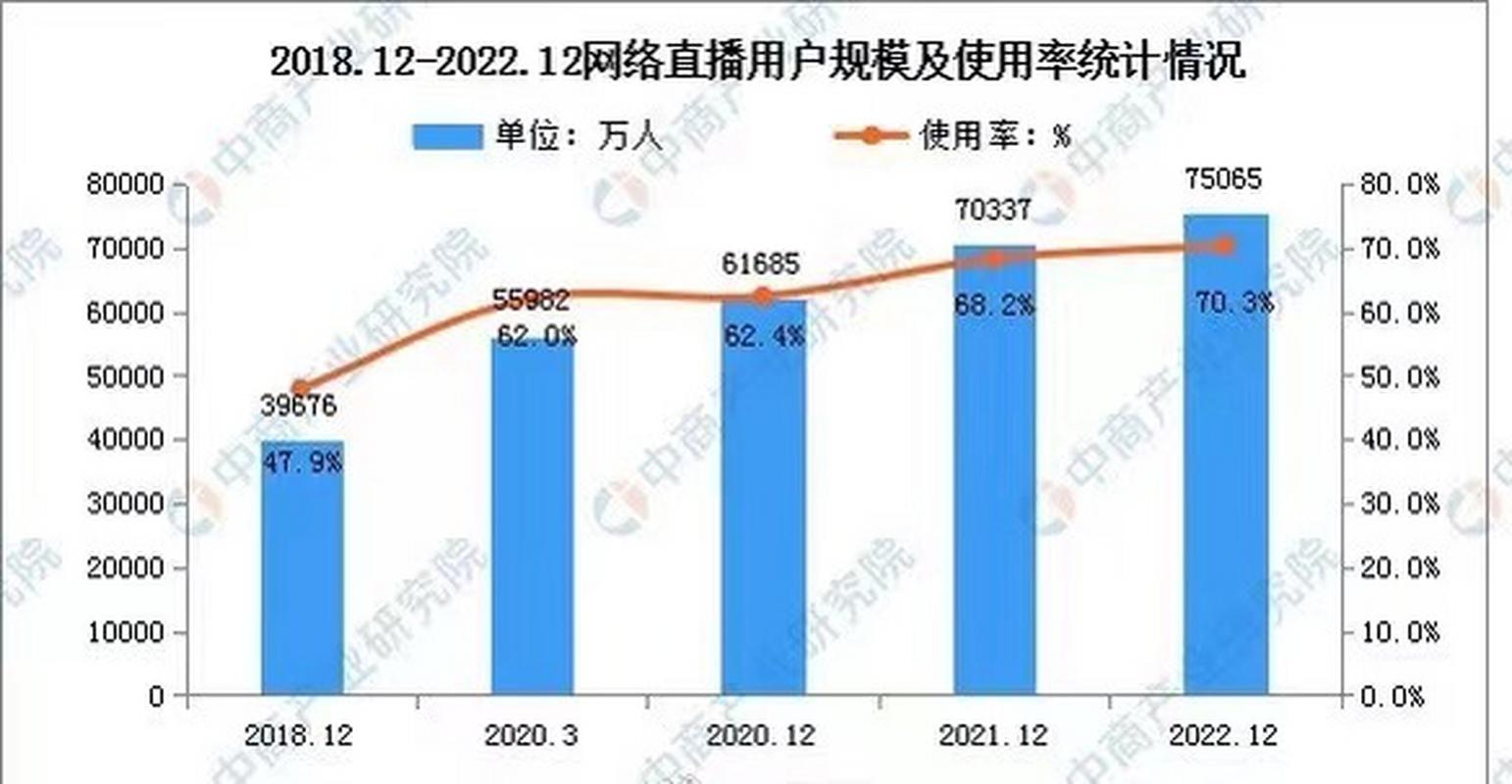 cnnic 社交网站 用户