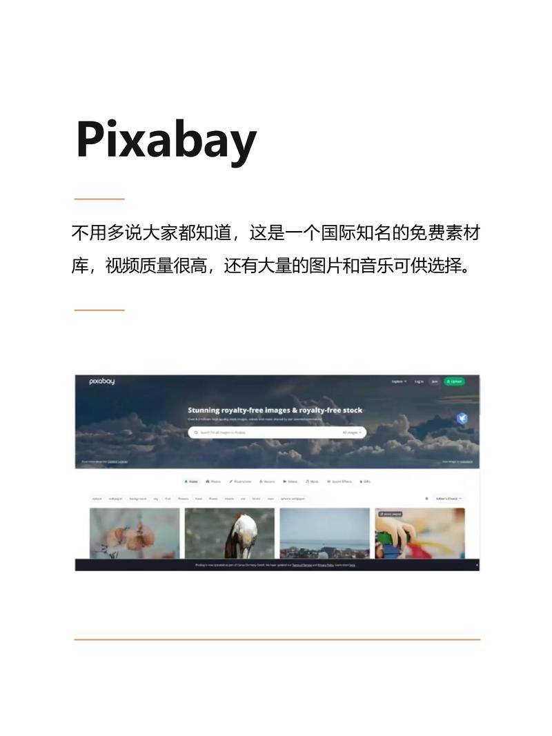 ps4能看什么网站视频网站