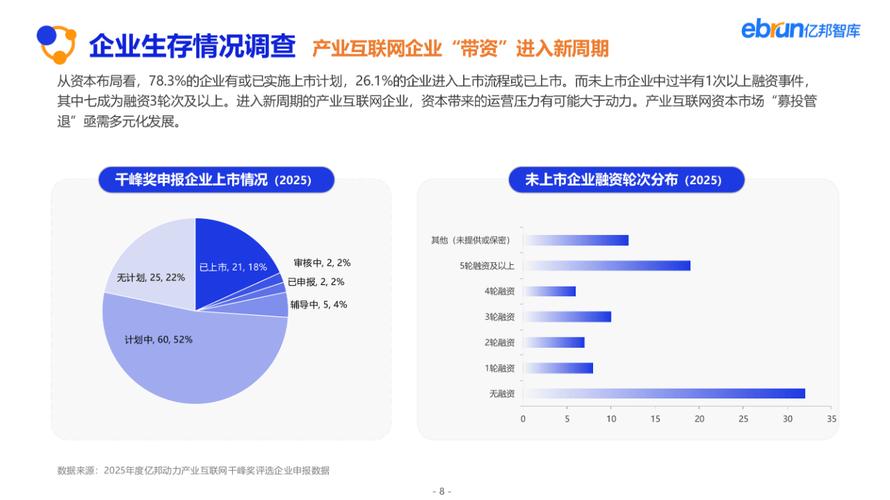 中国互联网发展报告2025