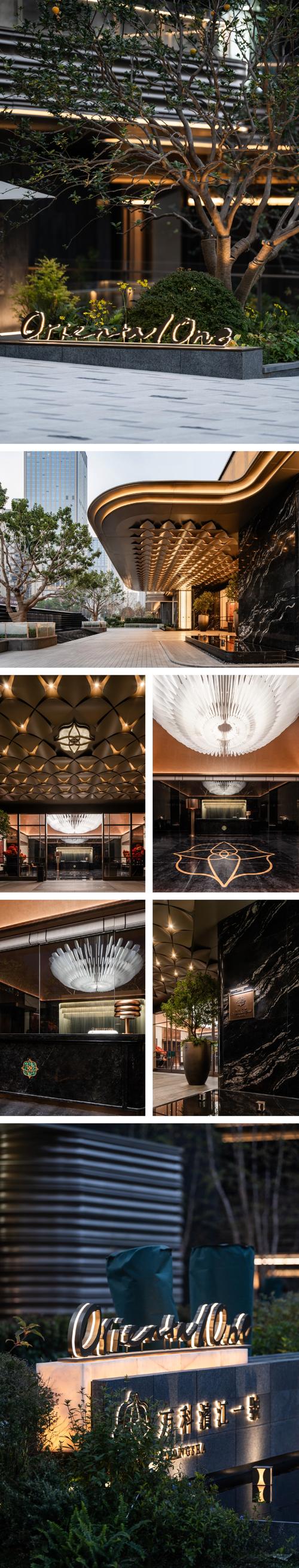 ishanghai登录网站