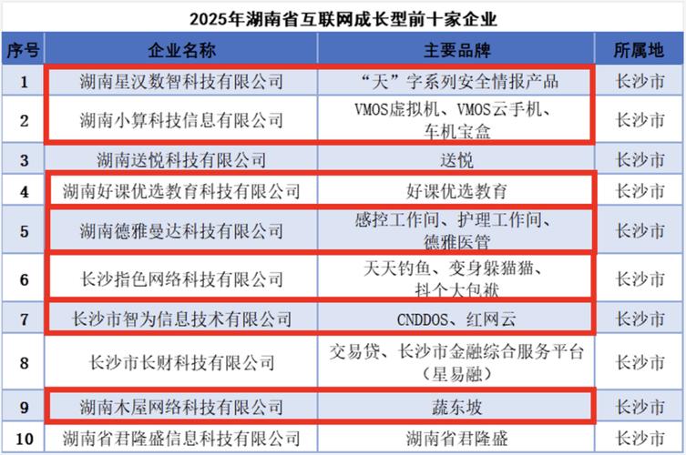 中国互联网公司排名2025