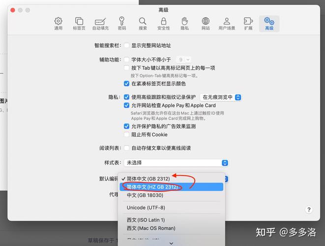 Safari怎样接入互联网