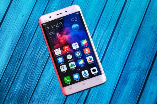 vivoXPIay5A处理器多大