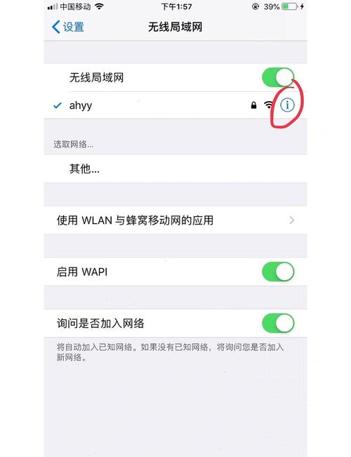 iphone怎么接入互联网