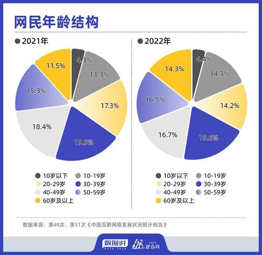 中国互联网发展状况统计报告
