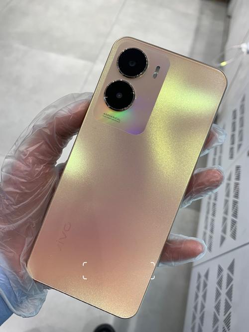 vivoiqoo35g什么处理器