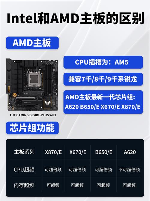 amd rome处理器是什么架构
