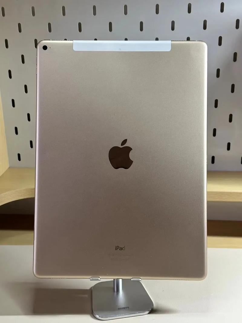 ipad pro12.9协处理器