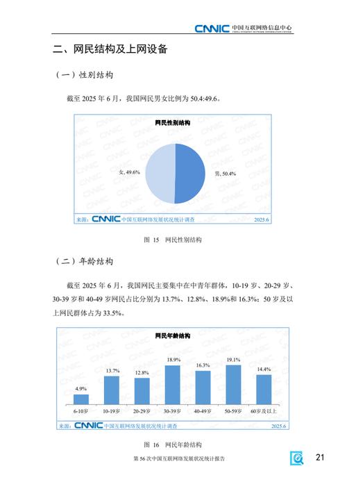 cnnic中国互联网报告