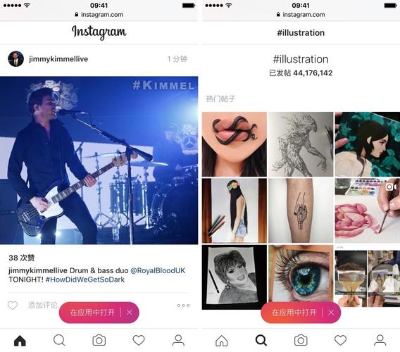 Instagram主页网站