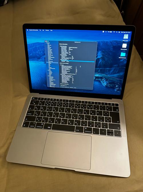 macbookair18款处理器