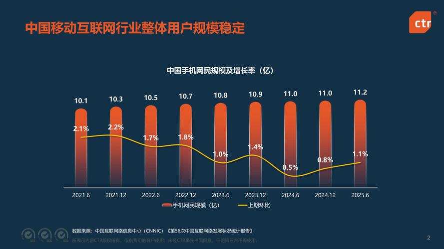 2025移动互联网普及
