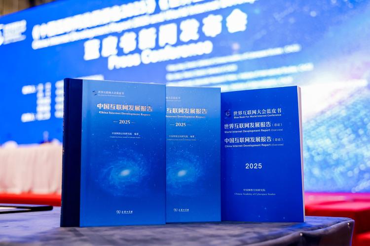 全球互联网报告2025