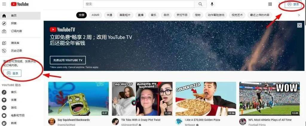 类似youtube视频网站