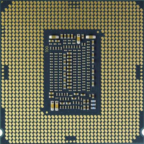 xeon和platinum处理器