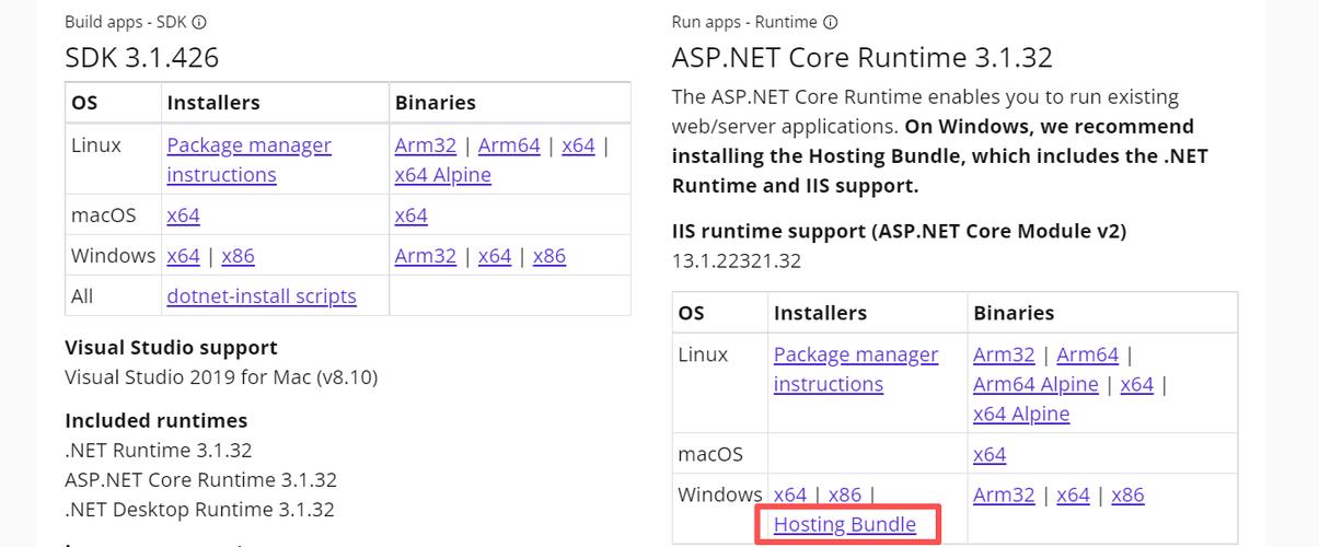 iis 网站无法显示该页面