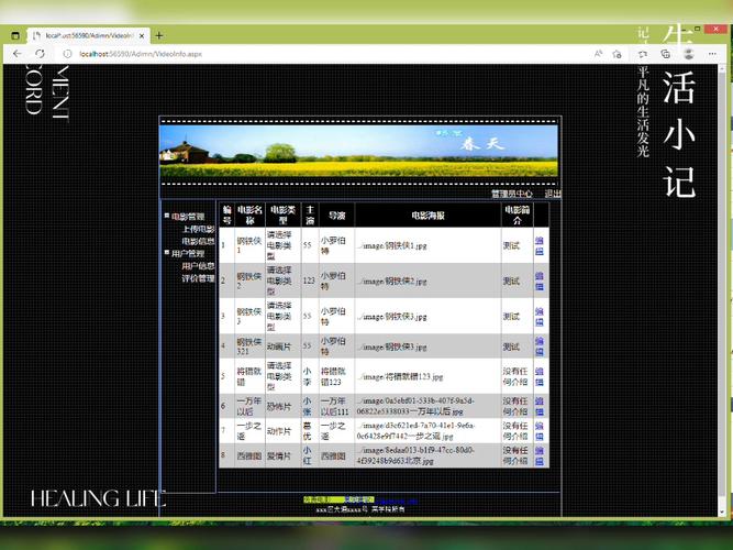 asp.net 网站的编译
