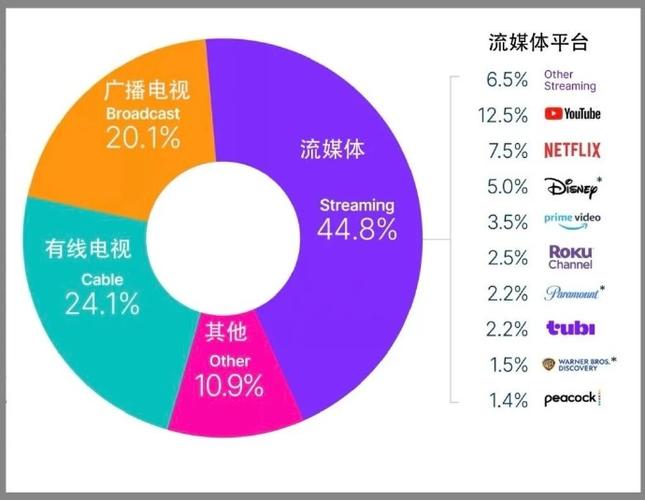 互联网 电视 成功因素