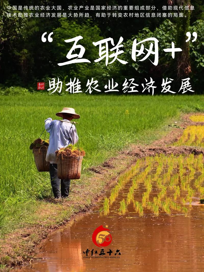 互联网 农业 存在问题