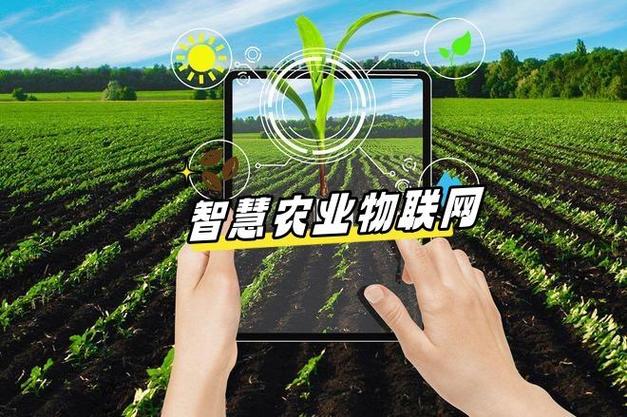 互联网 农业 存在问题