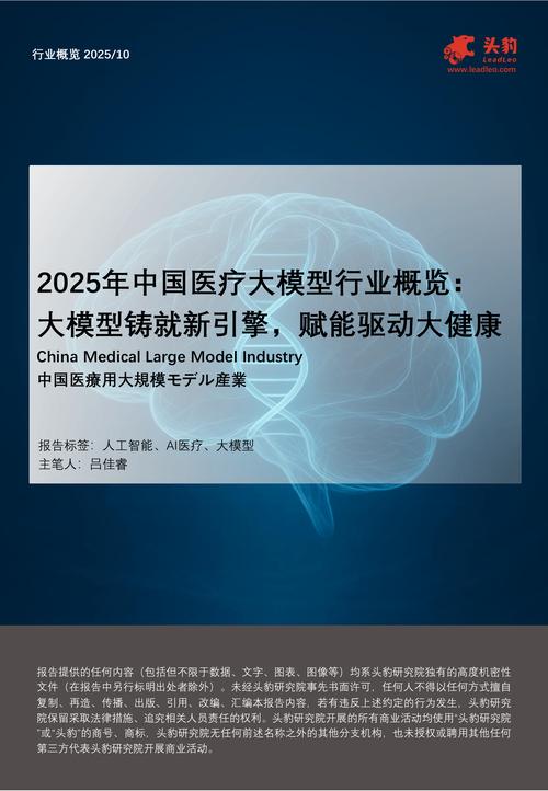 互联网医疗行业2025