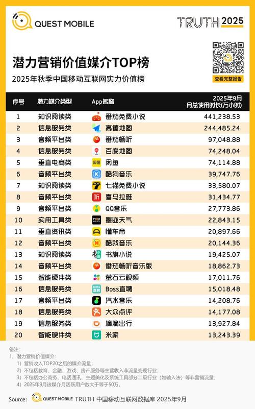 2025互联网支付榜单