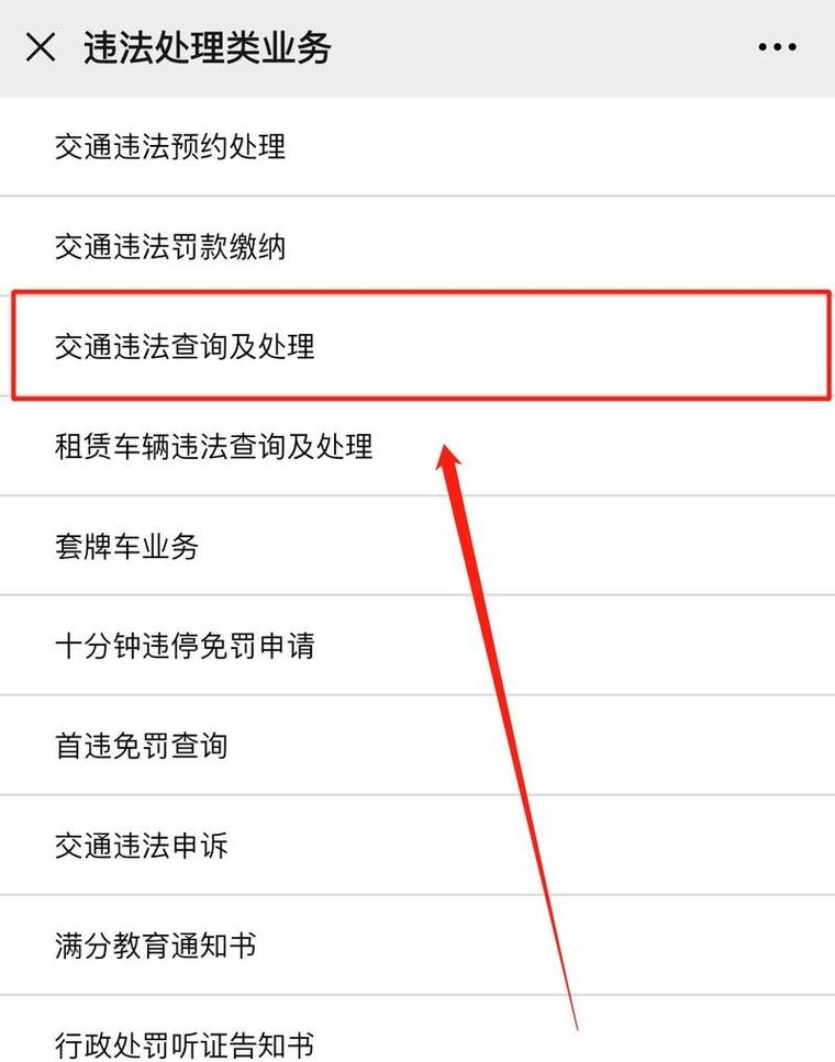 车辆违章查询官方网站手机版