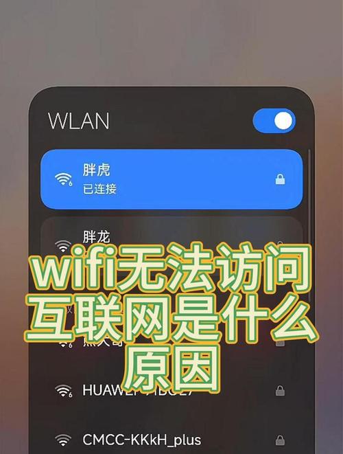 wlan不能访问互联网