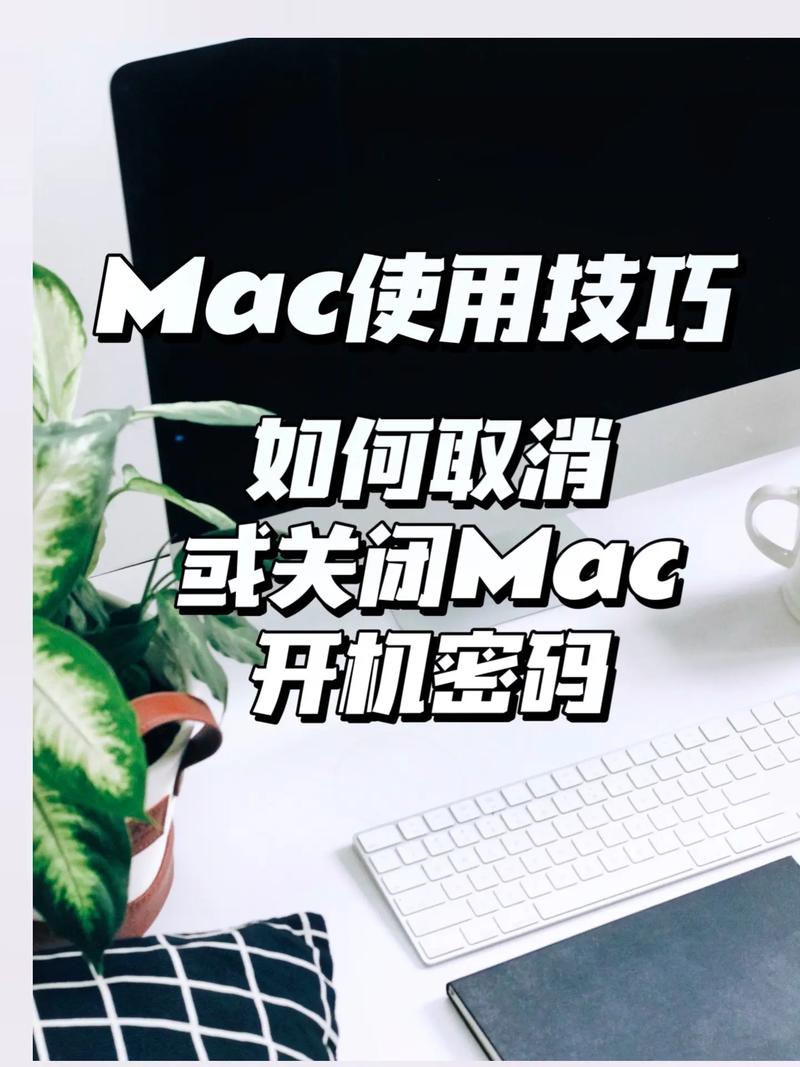 mac 取消互联网恢复