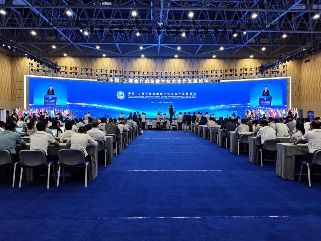 上海互联网峰会2025