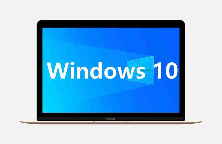 window系统下载网站