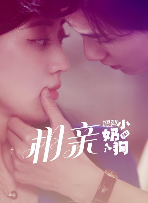 哪个网站可以看爱情动作片