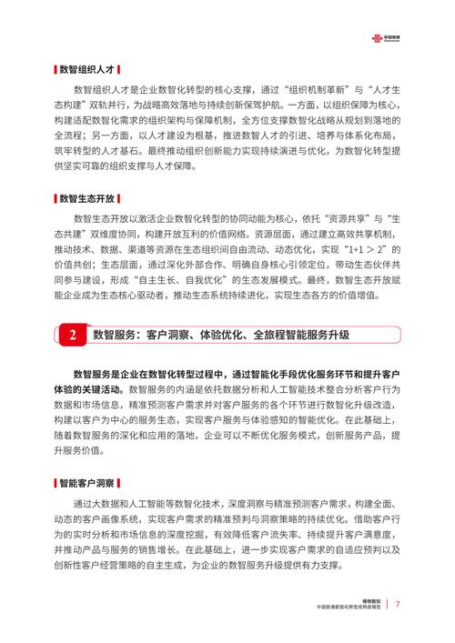 2025联通互联网总结