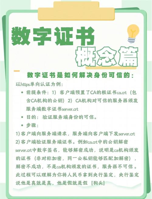 网站安全证书有问题怎么办